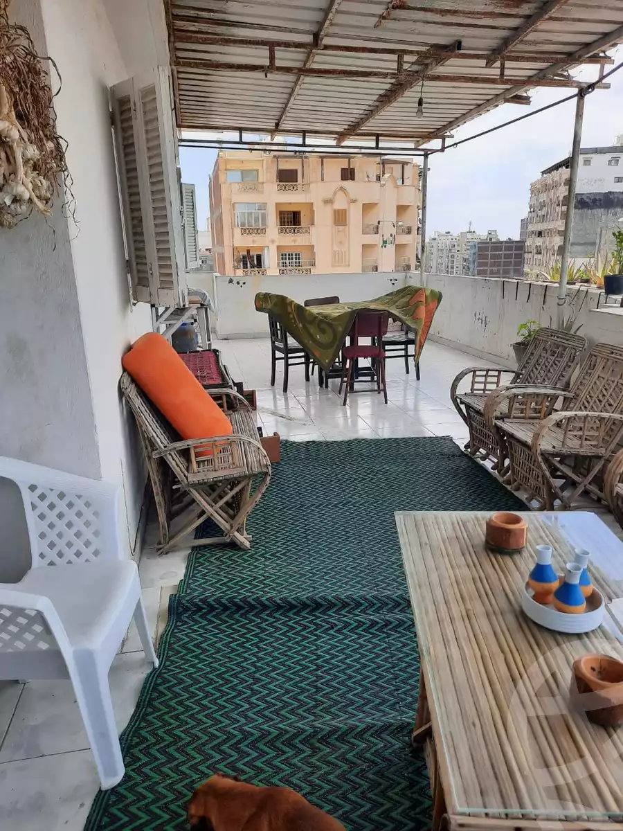 https://aqarmap.com.eg/en/listing/4234557-for-rent-gamila-abu-herid-st