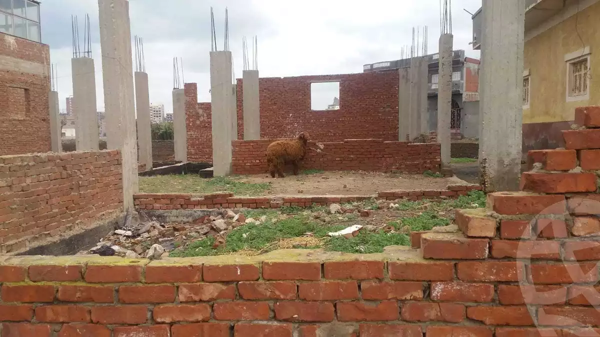 https://aqarmap.com.eg/ar/listing/4245182-for-sale-kafr-el-sheikh-desouk-desouk-city