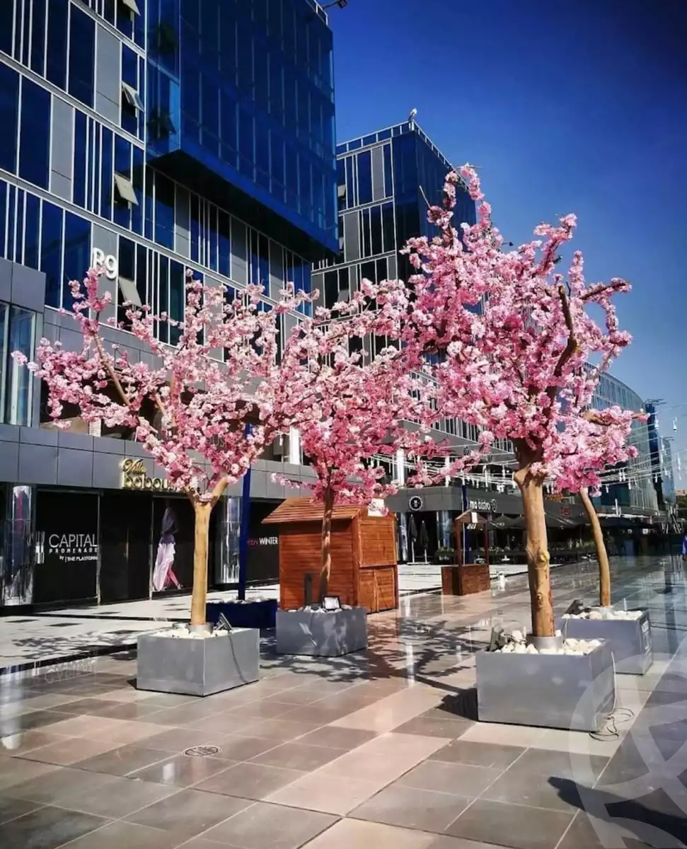 https://aqarmap.com.eg/ar/listing/4252252-for-rent-cairo-el-sheikh-zayed-city-compounds-in-sheikh-zayed-capital-business-park