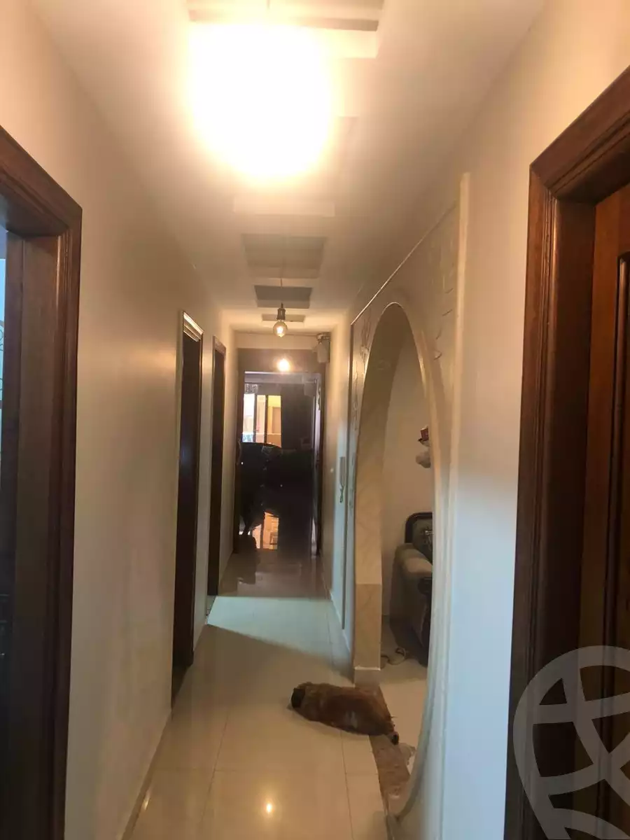 https://aqarmap.com.eg/en/listing/4262364-for-sale-alexandria-glim-hedaya-basha-st