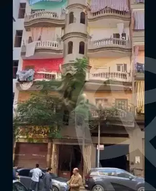 https://aqarmap.com.eg/en/listing/4272615-for-rent-dakahlia-mansoura-awesh-el-hagar