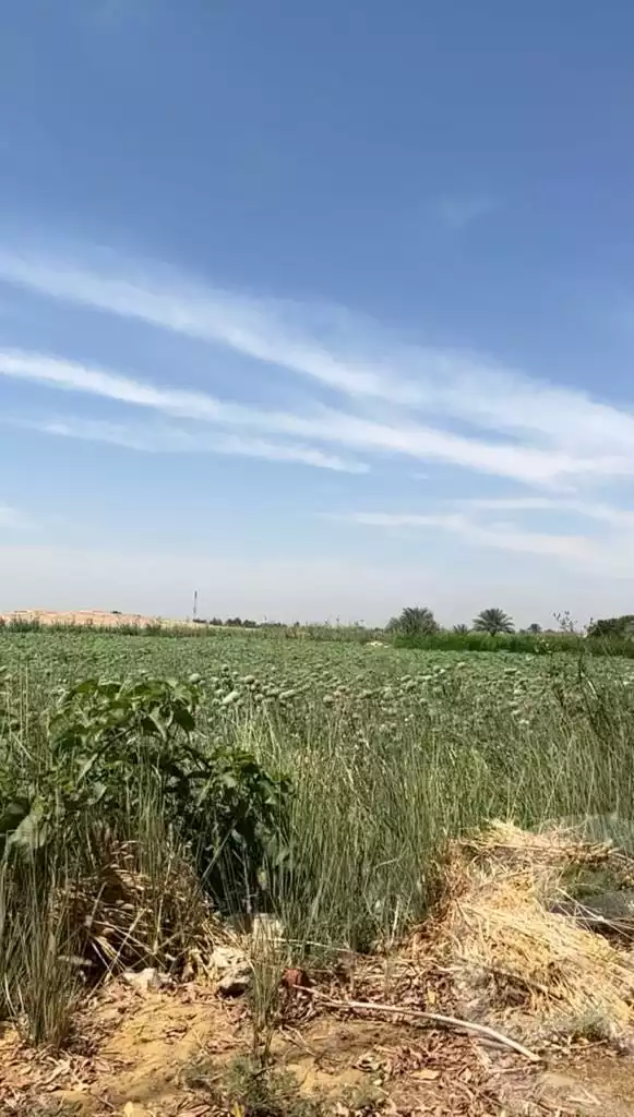 https://aqarmap.com.eg/ar/listing/4312131-for-sale-el-fayoum-tamiya-tamiyyah-city