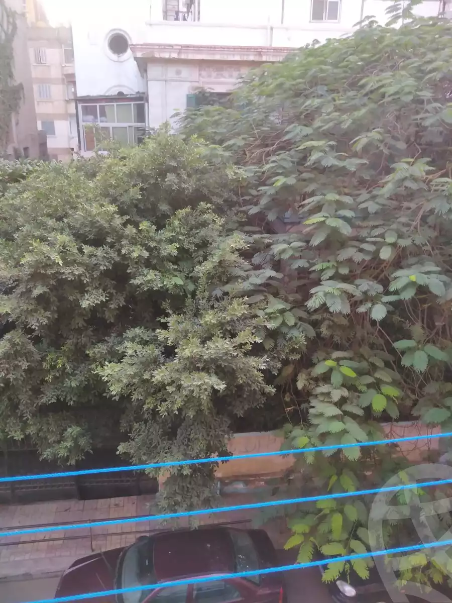 https://aqarmap.com.eg/en/listing/4317129-for-sale-alexandria-moharram-bey-ahmed-ayoub-st