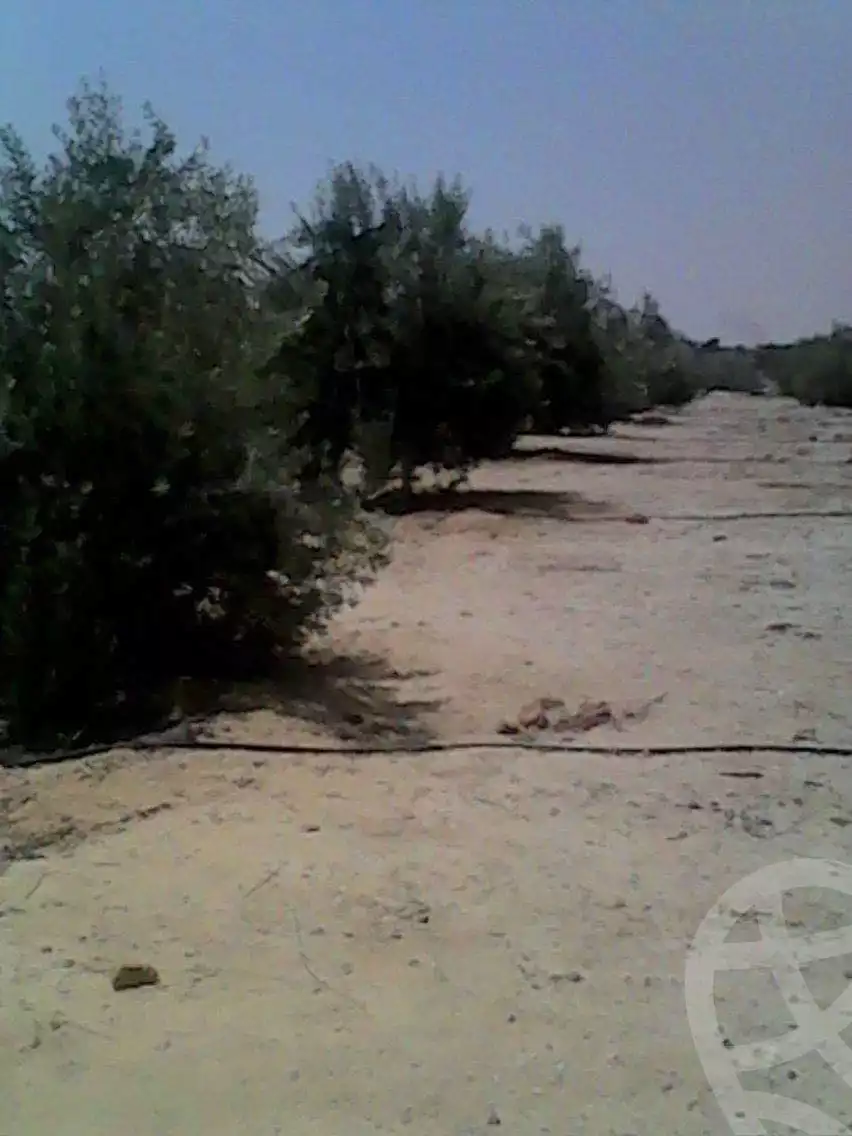 https://aqarmap.com.eg/ar/listing/4329118-for-sale-el-fayoum-mntq-fr-y-blfywm