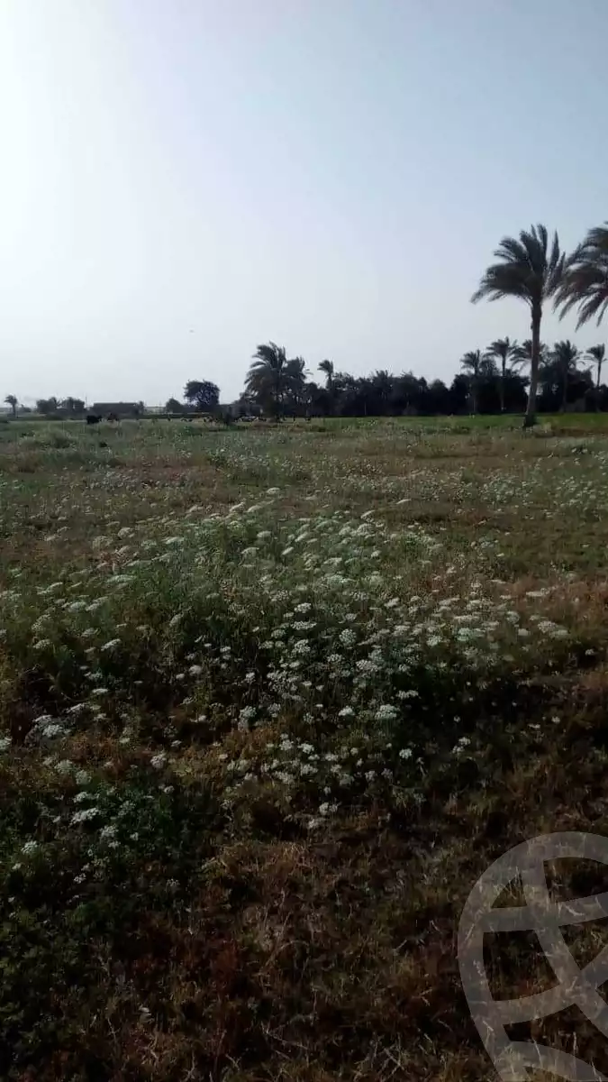 https://aqarmap.com.eg/ar/listing/4335896-for-sale-cairo-giza-el-saf-ghammaza-el-kobra-village