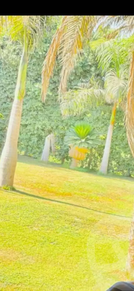 https://aqarmap.com.eg/en/listing/4351316-for-sale-monufia-shibin-el-kom-bakhaty