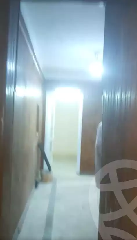 https://aqarmap.com.eg/en/listing/4363233-for-rent-cairo-shoubra-ltr-lbwlqy-bassiouny-st