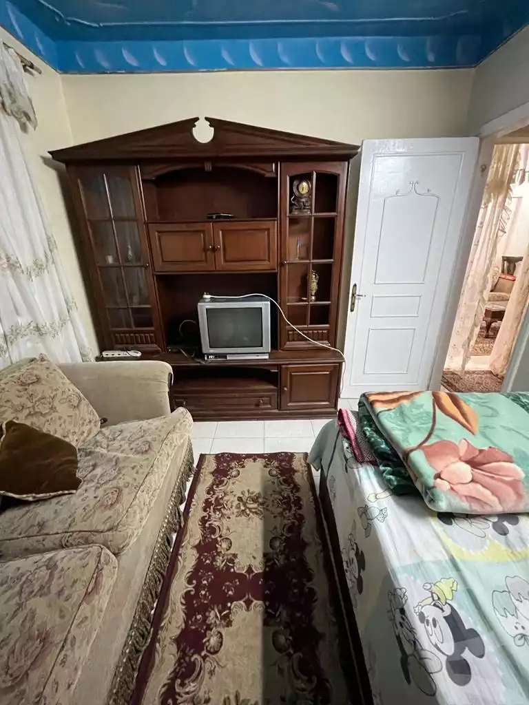 https://aqarmap.com.eg/en/listing/4369513-for-rent-cairo-el-sheikh-zayed-city-el-hay-elsades-ashaer