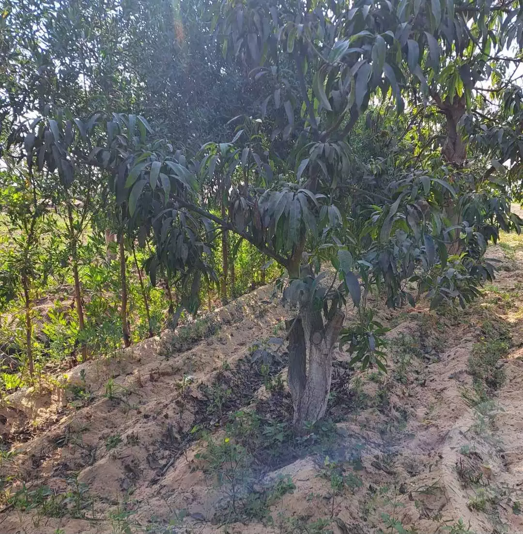 https://aqarmap.com.eg/ar/listing/4506267-for-sale-ismailia-mntq-fr-y-blsm-yly