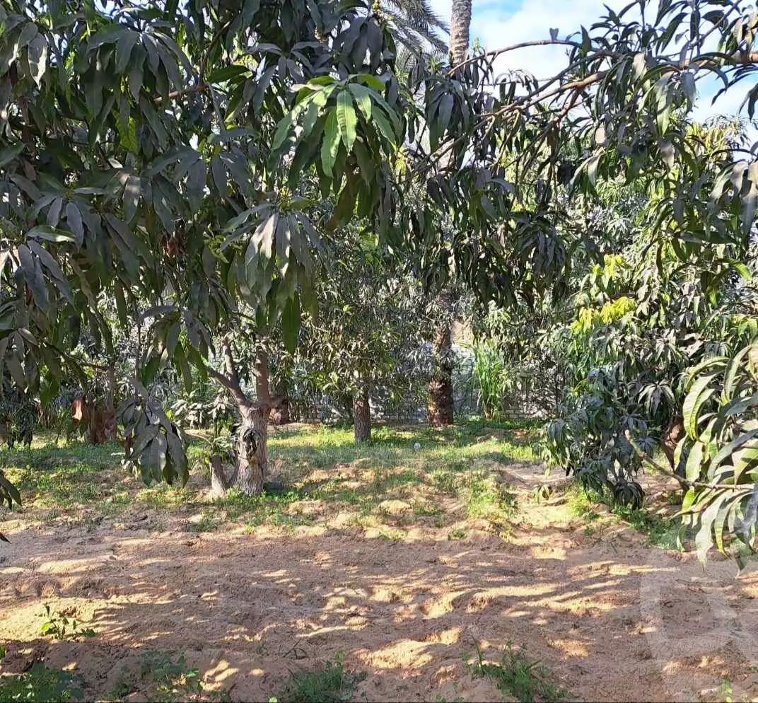 https://aqarmap.com.eg/ar/listing/4506267-for-sale-ismailia-mntq-fr-y-blsm-yly
