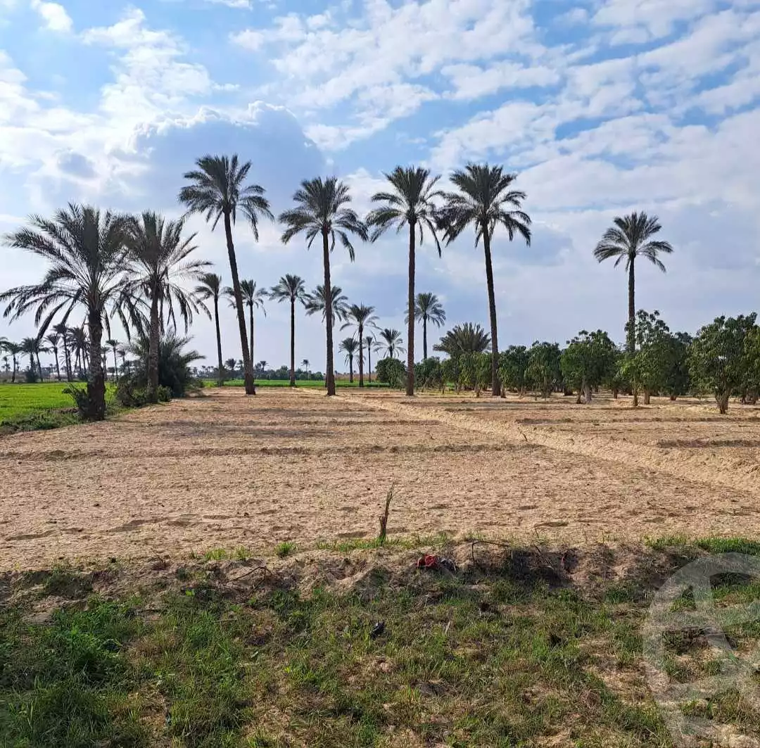 https://aqarmap.com.eg/ar/listing/4506267-for-sale-ismailia-mntq-fr-y-blsm-yly