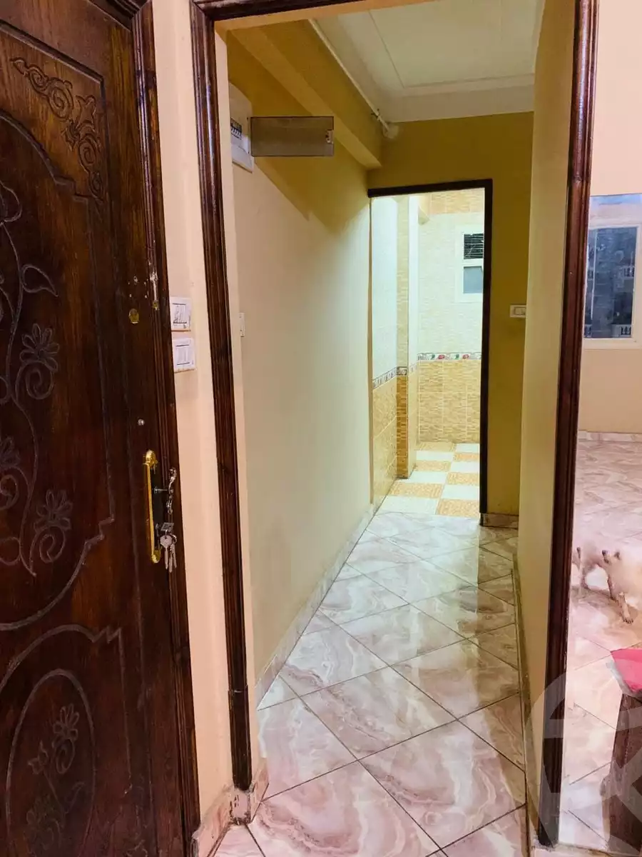 https://aqarmap.com.eg/en/listing/4680775-for-rent-alexandria-l-jmy-lbytsh-shahr-al-assal-st