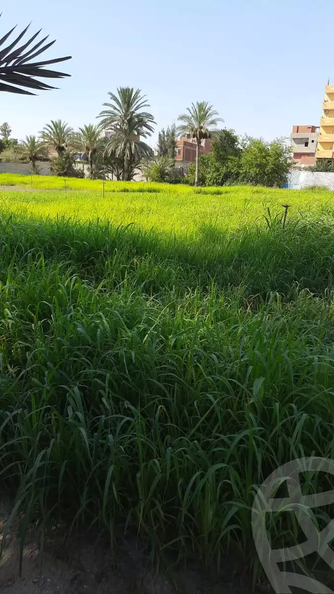 https://aqarmap.com.eg/en/listing/5527582-for-sale-beheira-wadi-el-natrun-kafr-dahoud