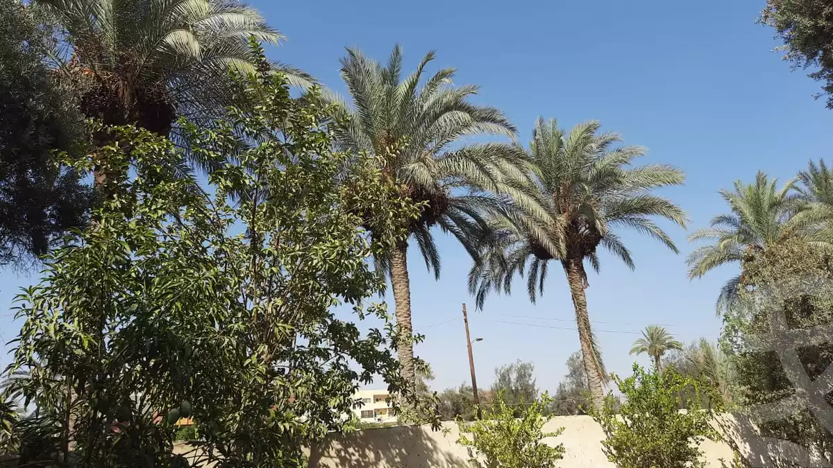 https://aqarmap.com.eg/en/listing/5527582-for-sale-beheira-wadi-el-natrun-kafr-dahoud