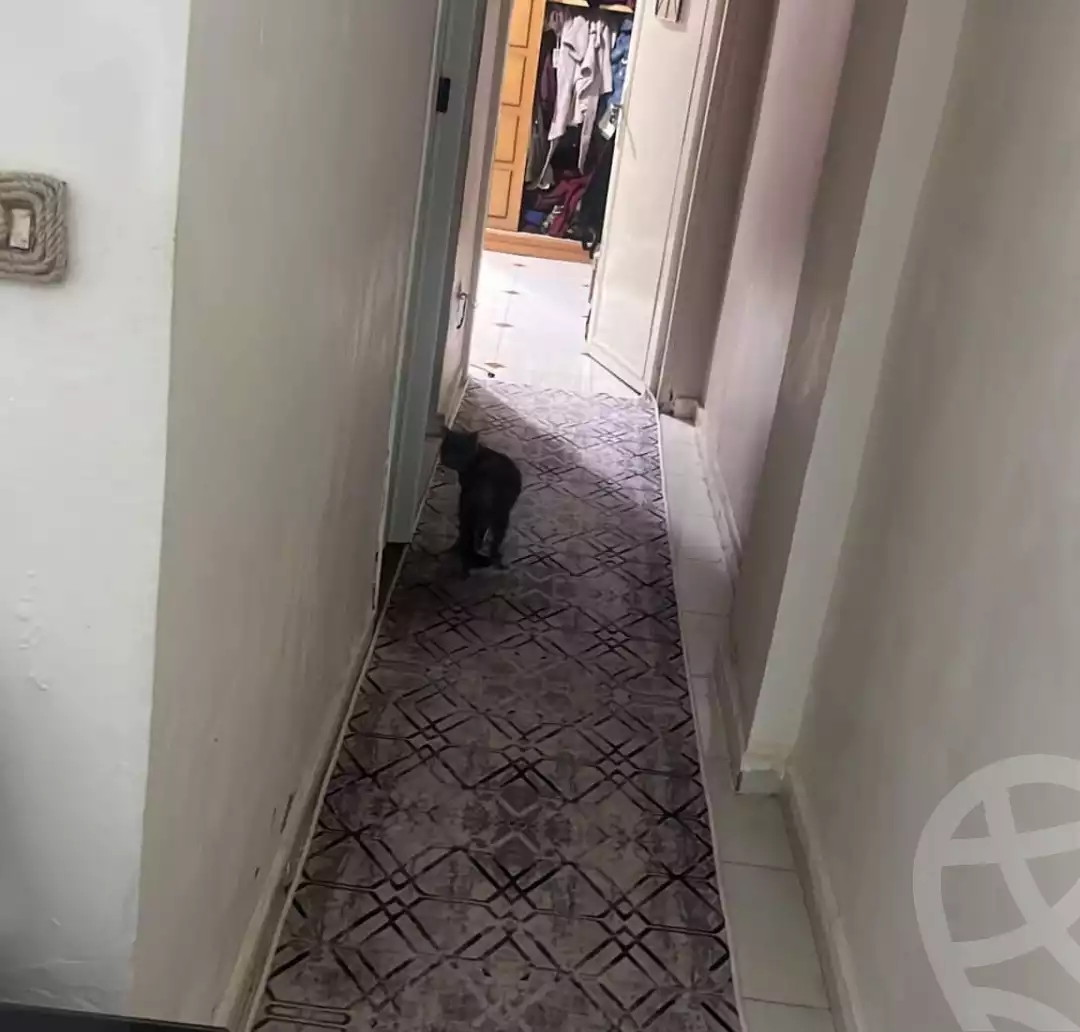 https://aqarmap.com.eg/ar/listing/4777990-for-sale-alexandria-fyktwry-shr-jml-bd-lnsr