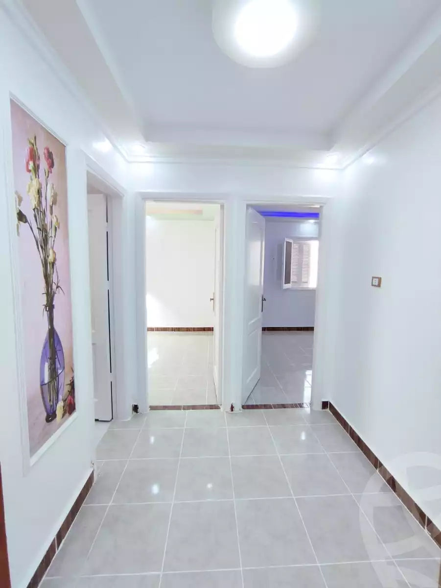 https://aqarmap.com.eg/en/listing/4812537-for-sale-alexandria-l-jmy-shataa-el-nakheel