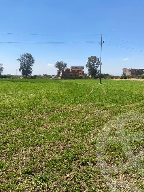 https://aqarmap.com.eg/ar/listing/4823320-for-sale-dakahlia-belqas-besndela