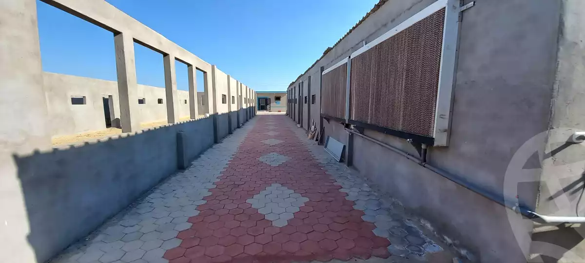 https://aqarmap.com.eg/ar/listing/4848818-for-sale-ismailia-abu-sweer