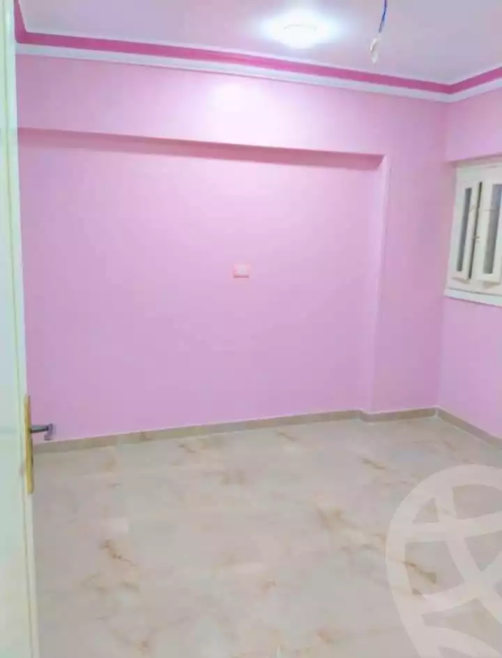 https://aqarmap.com.eg/en/listing/4852236-for-rent-gharbia-tanta