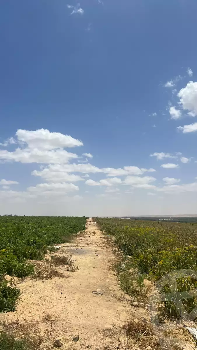 https://aqarmap.com.eg/en/listing/4859828-for-sale-beheira-wadi-el-natrun-bany-salama