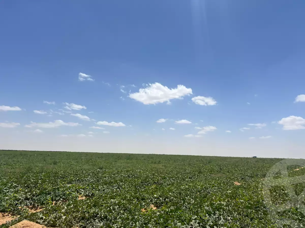 https://aqarmap.com.eg/ar/listing/4859828-for-sale-beheira-wadi-el-natrun-bany-salama