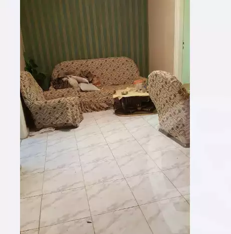 https://aqarmap.com.eg/en/listing/4888614-for-rent-alexandria-shds