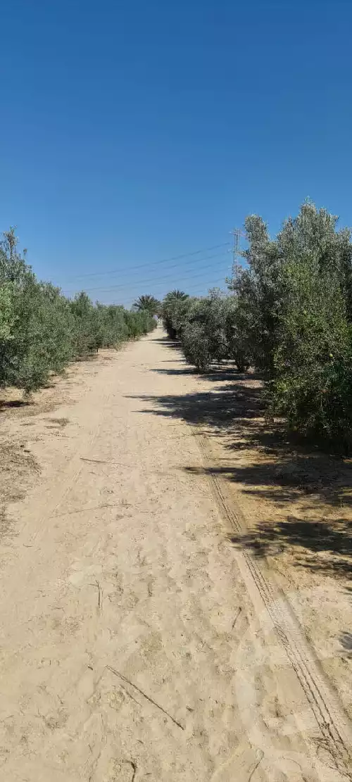 https://aqarmap.com.eg/en/listing/4925036-for-sale-beheira-wadi-el-natrun-el-hamraa