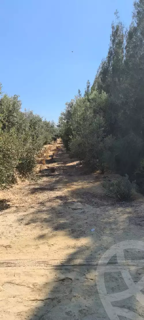 https://aqarmap.com.eg/en/listing/4925036-for-sale-beheira-wadi-el-natrun-el-hamraa