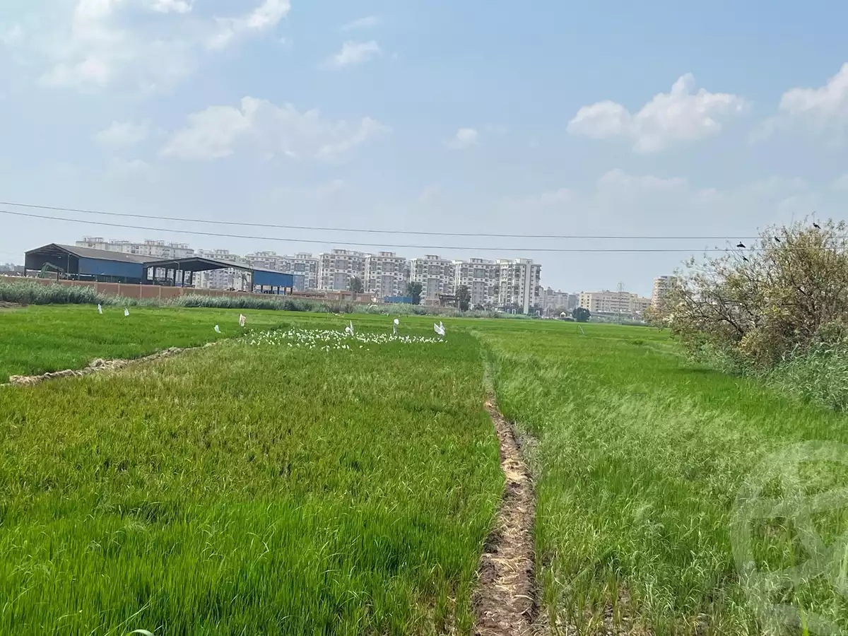 https://aqarmap.com.eg/en/listing/4974534-for-sale-dakahlia-mansoura-shw