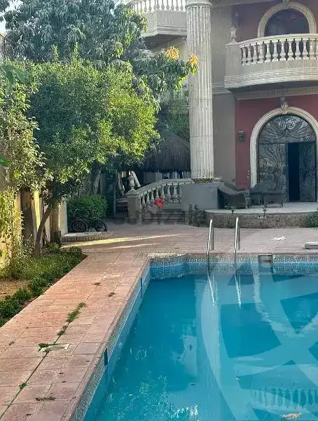 https://aqarmap.com.eg/en/listing/4983178-for-rent-cairo-ljyz