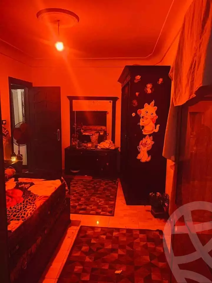 https://aqarmap.com.eg/en/listing/5002745-for-sale-alexandria-l-jmy-lbytsh