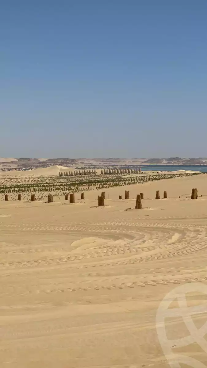 https://aqarmap.com.eg/ar/listing/5037831-for-sale-marsa-matruh-siwa-oasis-wahet-siwaa-city