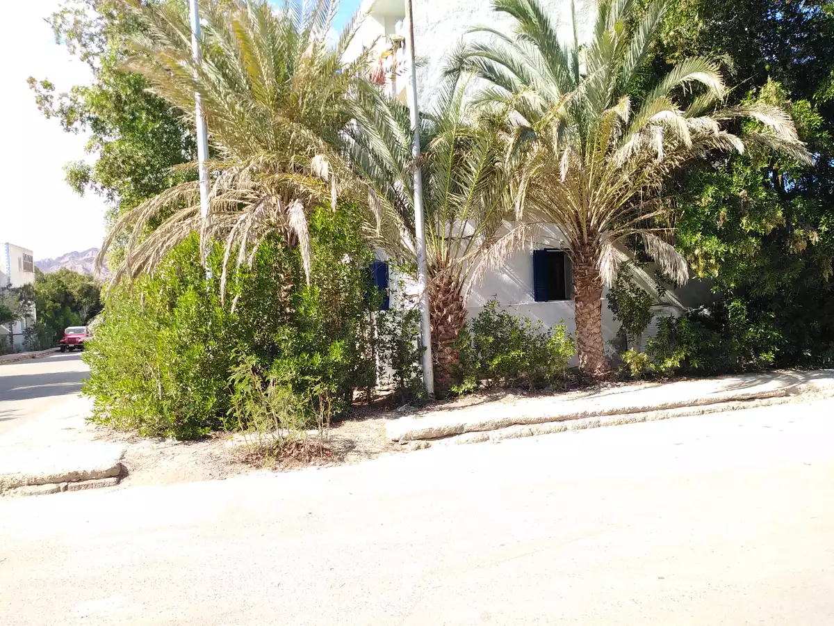 https://aqarmap.com.eg/ar/listing/5041025-for-sale-jnwb-syn-dahb