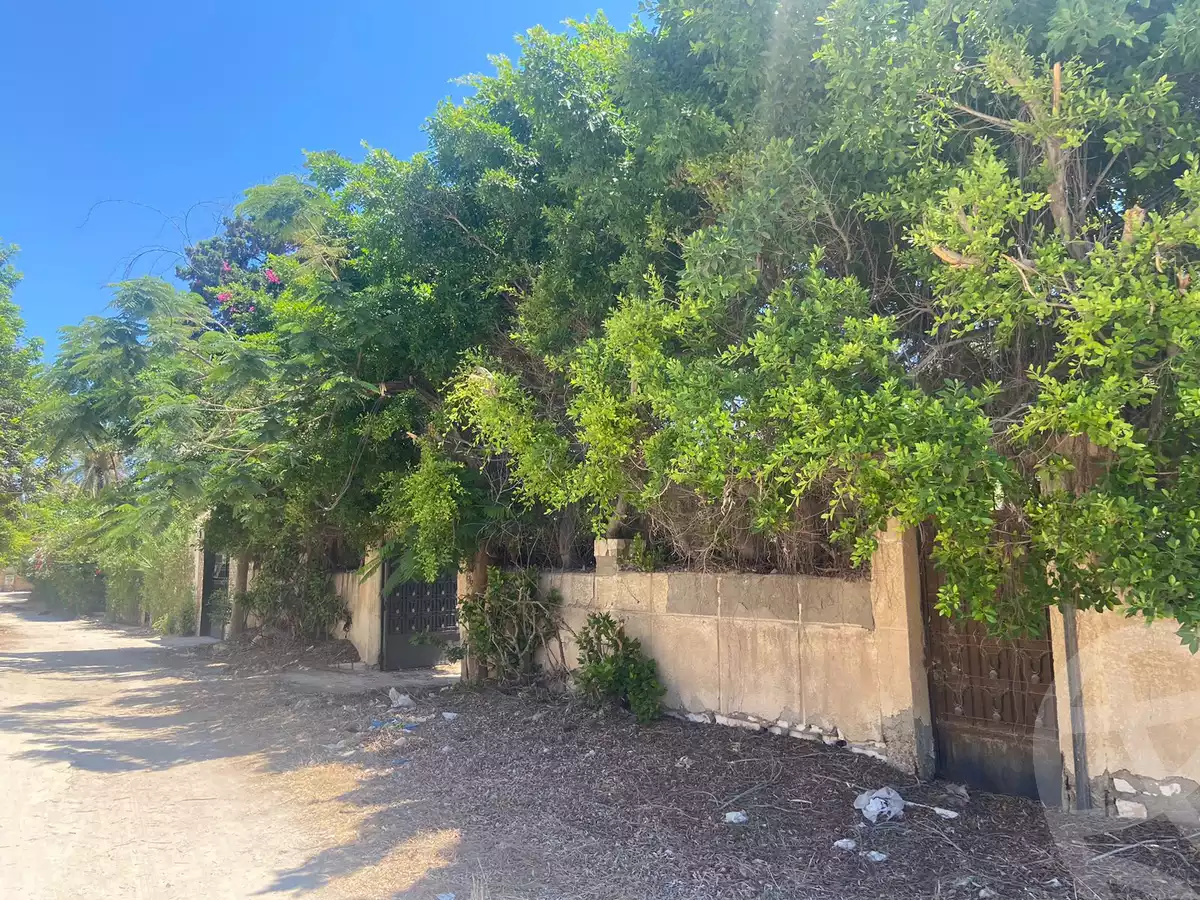 https://aqarmap.com.eg/en/listing/5042564-for-sale-alexandria-l-jmy-bw-ywsf