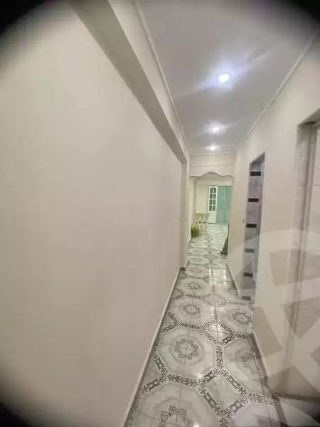 https://aqarmap.com.eg/ar/listing/5083159-for-sale-alexandria-l-jmy-lbytsh-khalil-ballw-st