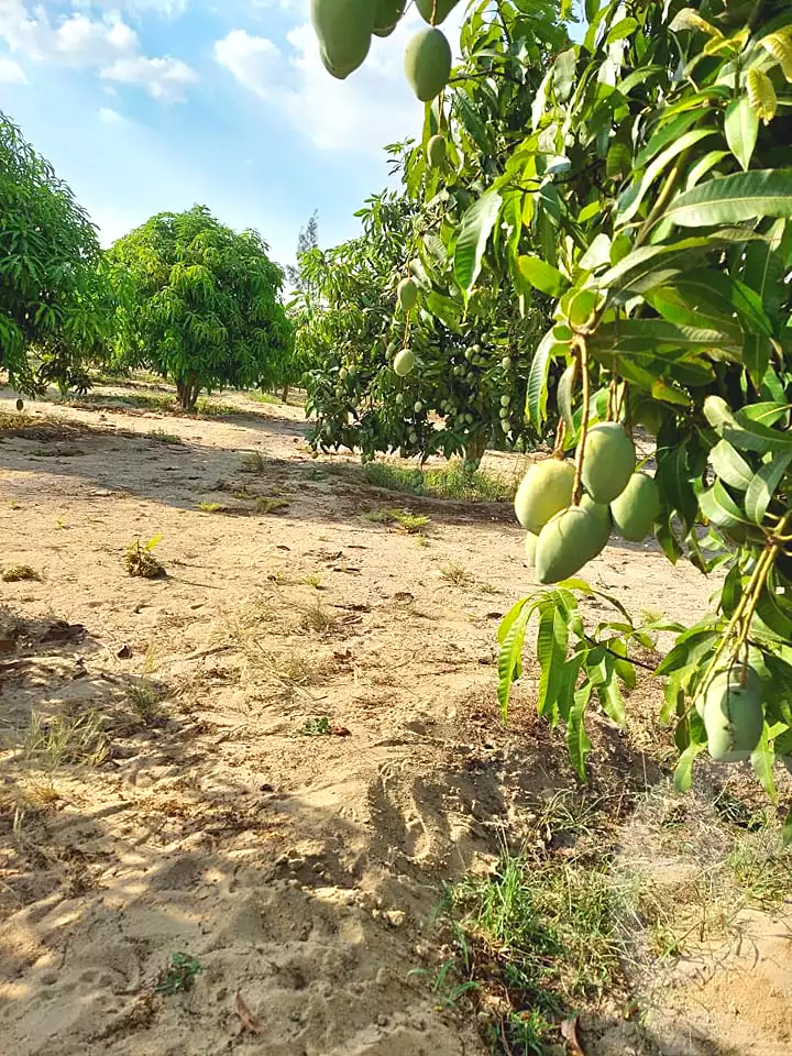 https://aqarmap.com.eg/ar/listing/7291550-for-sale-ismailia-tall-el-kebir