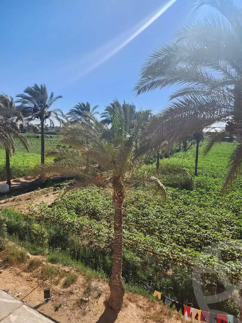 https://aqarmap.com.eg/ar/listing/5181530-for-sale-alexandria-el-amreya