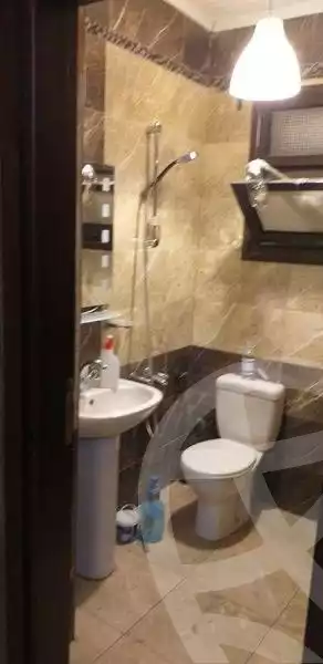 https://aqarmap.com.eg/en/listing/5220758-for-rent-cairo-new-cairo-90th-street