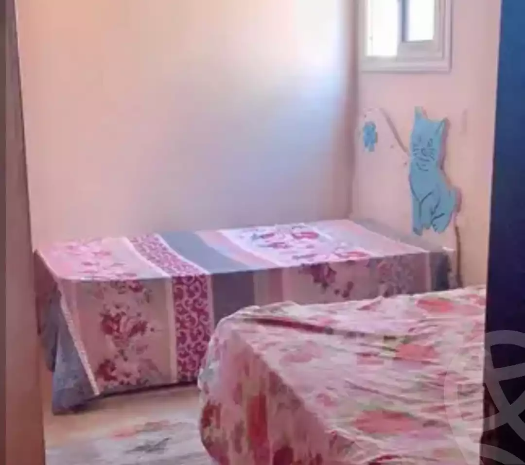 https://aqarmap.com.eg/en/listing/5233645-for-rent-cairo-ain-shams-alf-maskn
