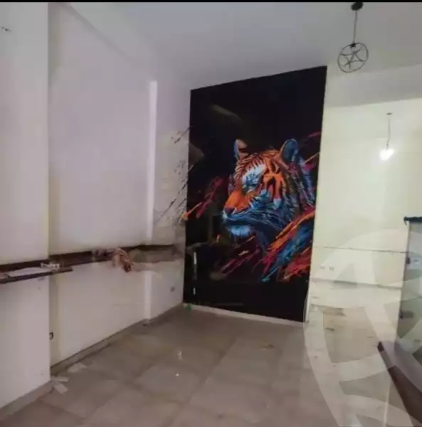 https://aqarmap.com.eg/en/listing/5238713-for-rent-alexandria-fleming-mostafa-kamel-st