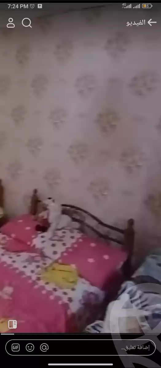 https://aqarmap.com.eg/en/listing/5247332-for-sale-cairo-nasr-city-masaken-el-shorouk