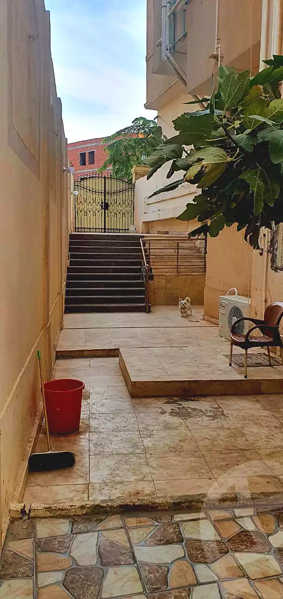 https://aqarmap.com.eg/ar/listing/5256679-for-sale-cairo-new-cairo-south-investors