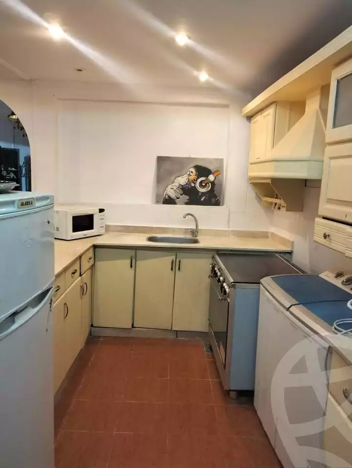 https://aqarmap.com.eg/en/listing/5278459-for-sale-cairo-al-zamalek-shr-sm-yl-mhmd
