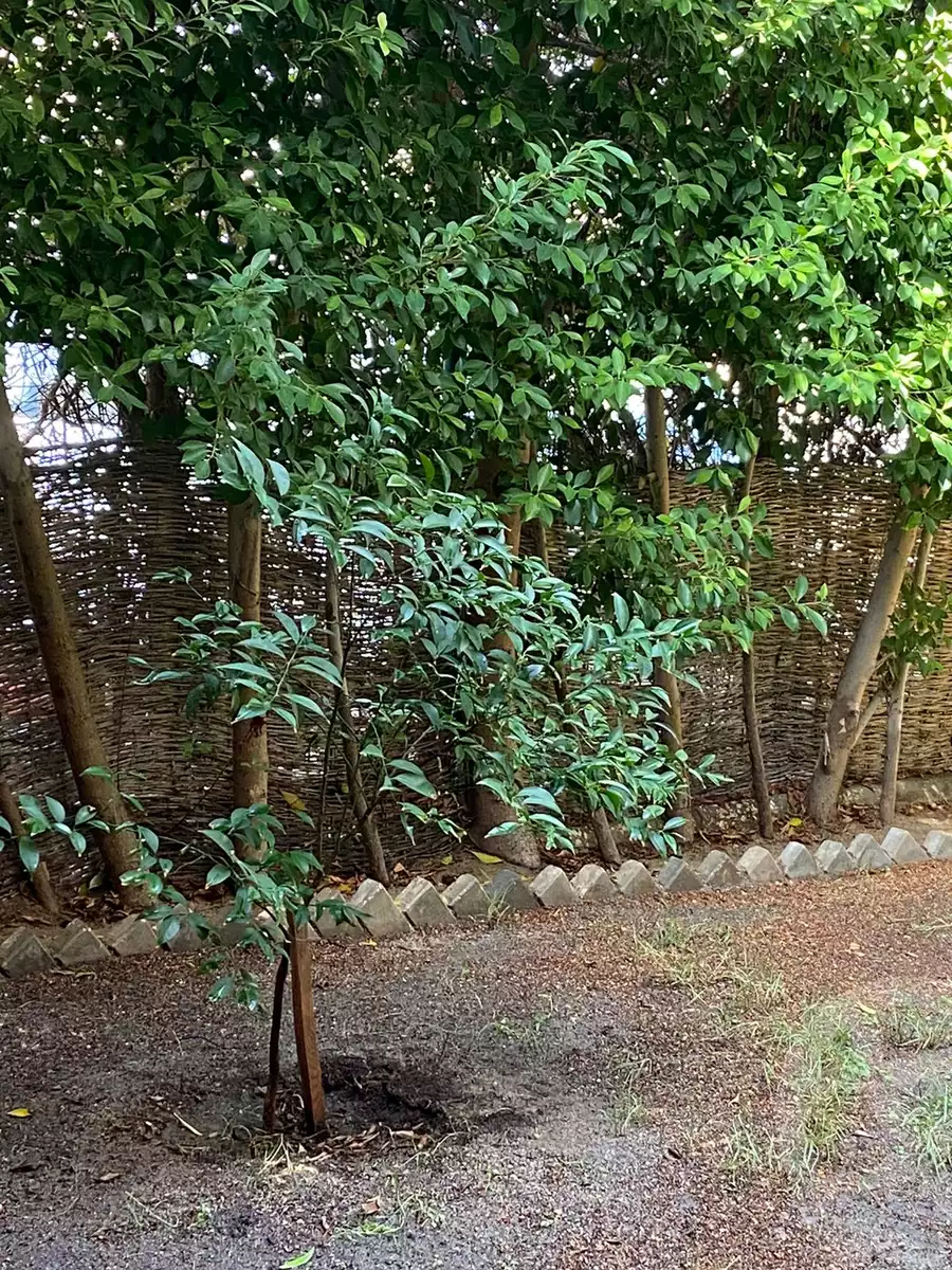https://aqarmap.com.eg/ar/listing/5278874-for-sale-cairo-el-sheikh-zayed-city-compounds-rawdet-zayed