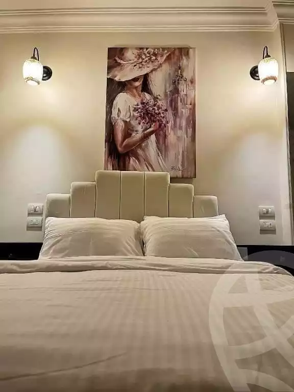 https://aqarmap.com.eg/en/listing/5279276-for-rent-cairo-al-zamalek-abou-el-feda