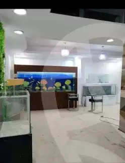 https://aqarmap.com.eg/en/listing/5282080-for-rent-cairo-mokattam-mokattam
