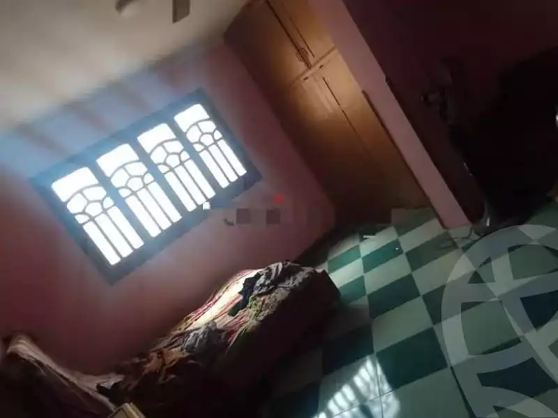 https://aqarmap.com.eg/en/listing/5287531-for-rent-cairo-el-marg-lmrj-ljdyd