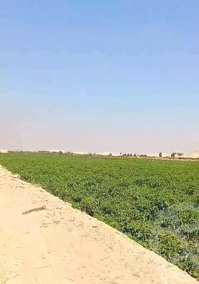 https://aqarmap.com.eg/ar/listing/5291756-for-sale-alexandria-cairo-alexandria-desert-road
