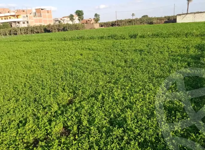https://aqarmap.com.eg/ar/listing/5300490-for-sale-sharqia-minya-el-qamh-minya-el-qamh-city
