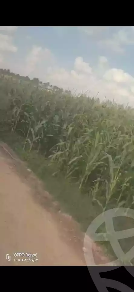 https://aqarmap.com.eg/en/listing/5335144-for-sale-alexandria-cairo-alexandria-desert-road